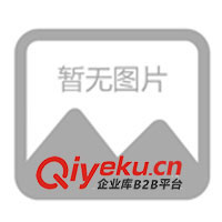 供應(yīng)手機(jī)繩、掛繩、掛帶、手機(jī)帶、手機(jī)繩、工作吊帶